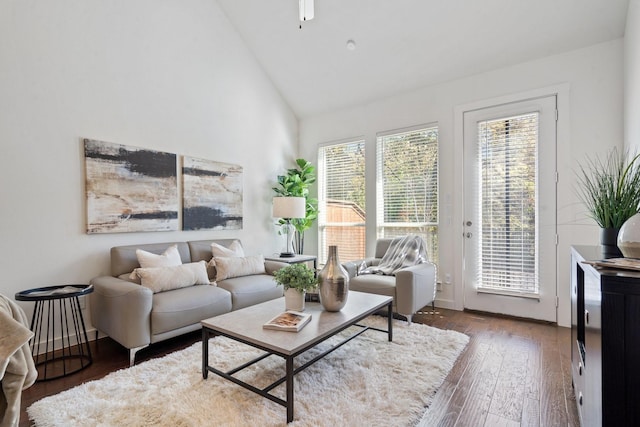 living room with high vaulted ceiling and dark wood-type flooring