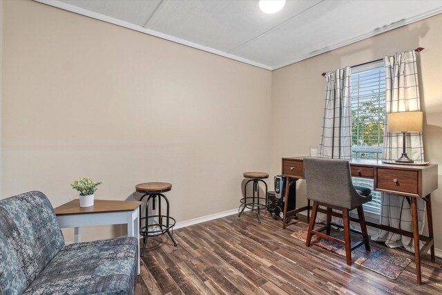 office space with dark hardwood / wood-style floors