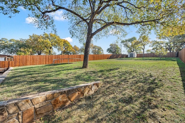 view of yard featuring a storage unit