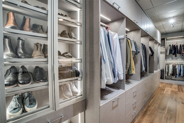 walk in closet with hardwood / wood-style floors and a drop ceiling