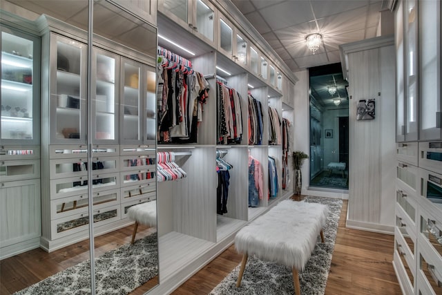 spacious closet featuring hardwood / wood-style flooring