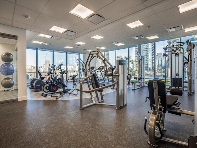 gym with a paneled ceiling and expansive windows