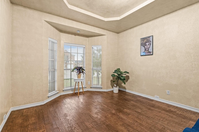 spare room featuring hardwood / wood-style flooring and a raised ceiling