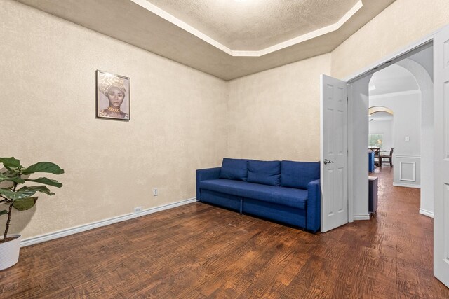 spare room featuring a raised ceiling and wood-type flooring