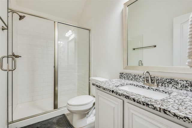 bathroom with toilet, vanity, vaulted ceiling, and an enclosed shower