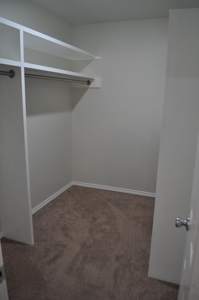 walk in closet with dark carpet