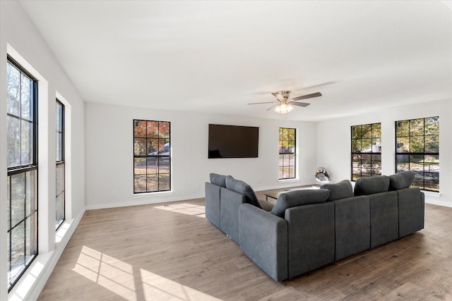 living room with ceiling fan and hardwood / wood-style floors