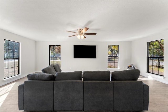 living room with ceiling fan and light hardwood / wood-style floors