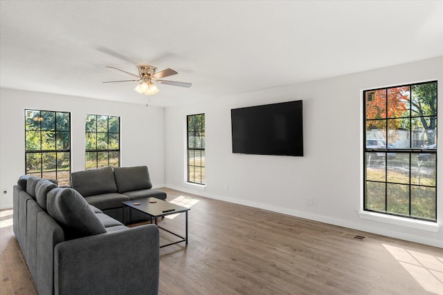 living room with ceiling fan and hardwood / wood-style flooring