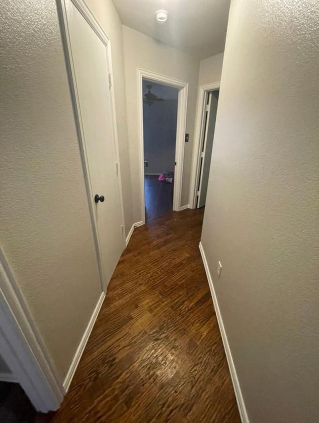 corridor featuring dark hardwood / wood-style floors