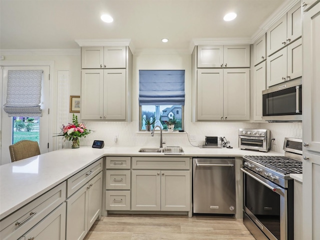 kitchen with crown molding, a wealth of natural light, sink, and stainless steel appliances