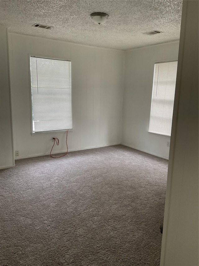 unfurnished room featuring carpet, a textured ceiling, and a healthy amount of sunlight