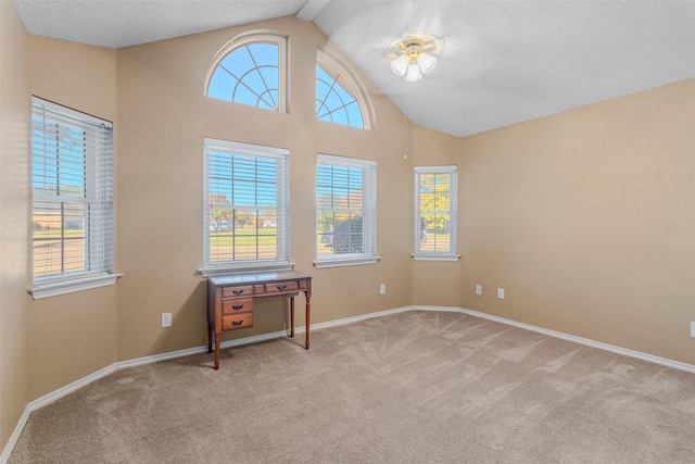 spare room with a textured ceiling, lofted ceiling, light carpet, and a wealth of natural light