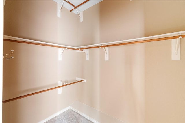 4307 Sausalito Dr, Dallas, TX 75287 - walk in closet featuring carpet flooring