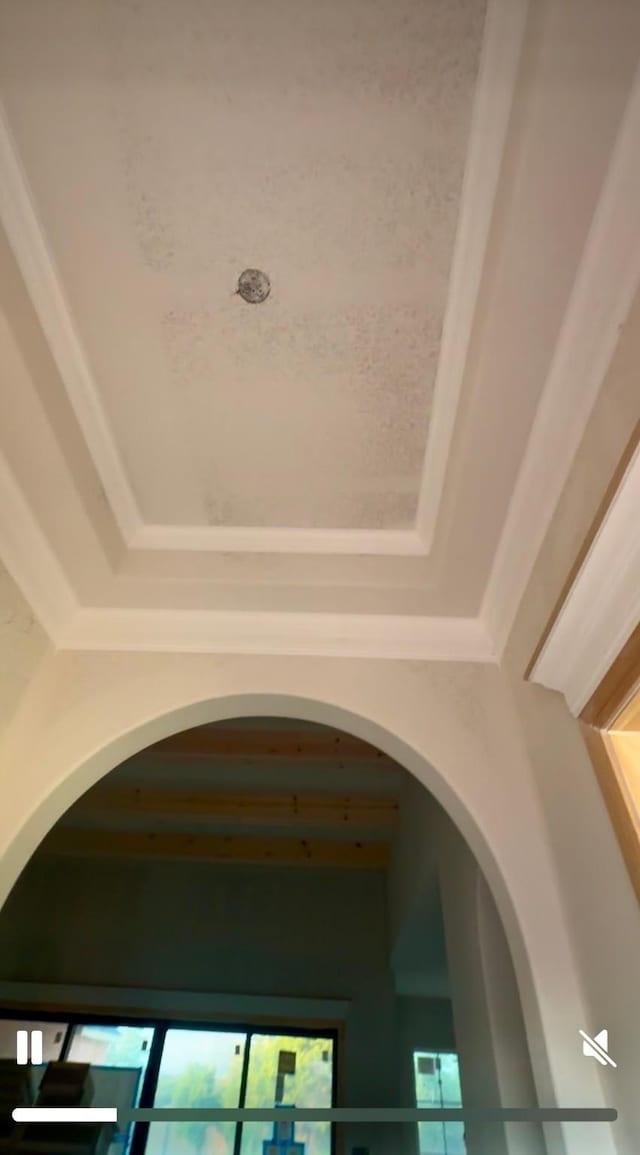 interior details with a raised ceiling