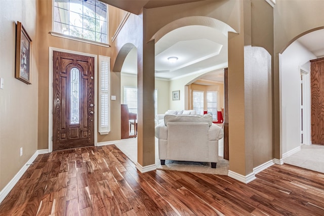 entrance foyer with a tray ceiling and hardwood / wood-style floors