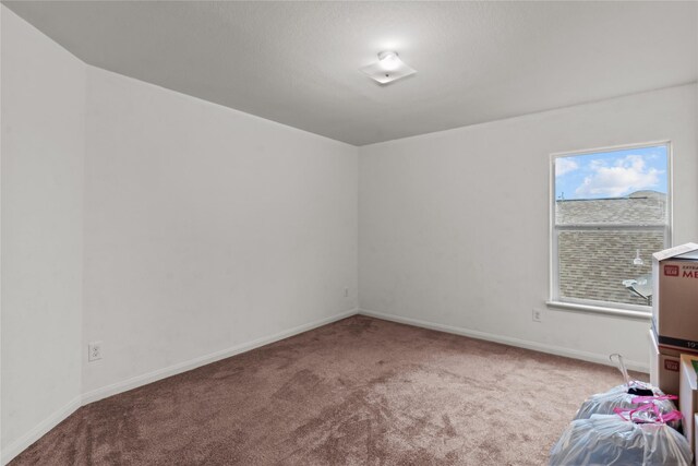 empty room featuring carpet