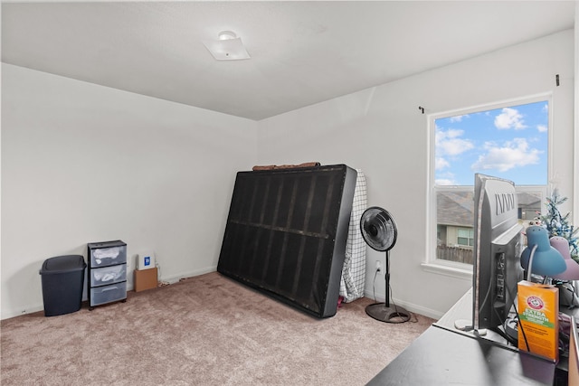 miscellaneous room featuring light colored carpet