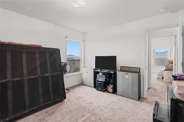 bedroom featuring light carpet