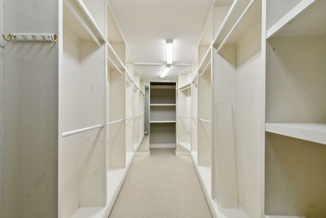 walk in closet with light carpet