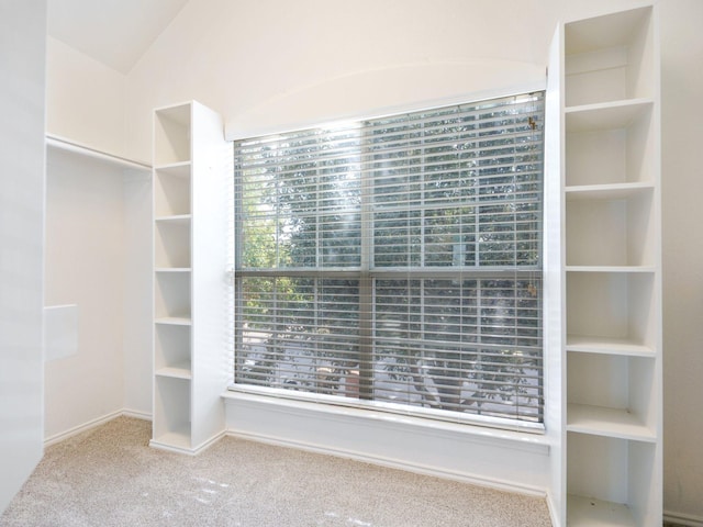 spacious closet featuring carpet floors and lofted ceiling