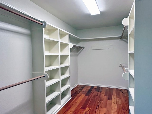 spacious closet featuring dark hardwood / wood-style floors