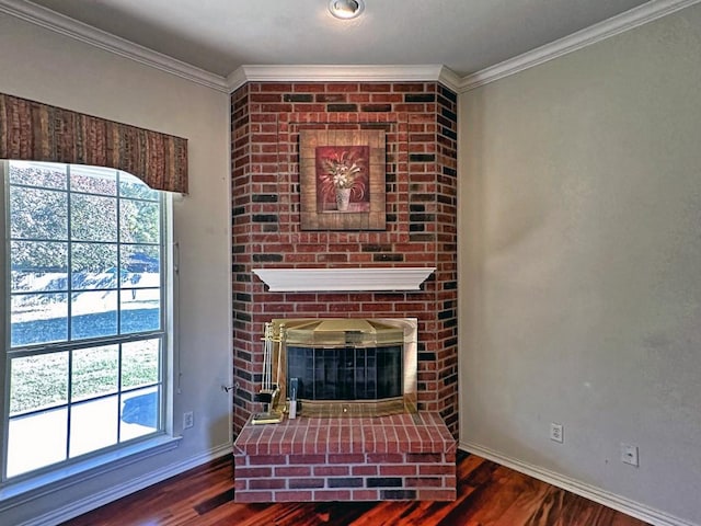 living room with a fireplace, ornamental molding, and dark wood-type flooring