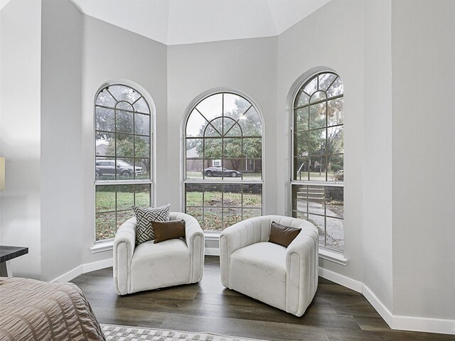 sitting room with dark wood-type flooring, a healthy amount of sunlight, and a high ceiling