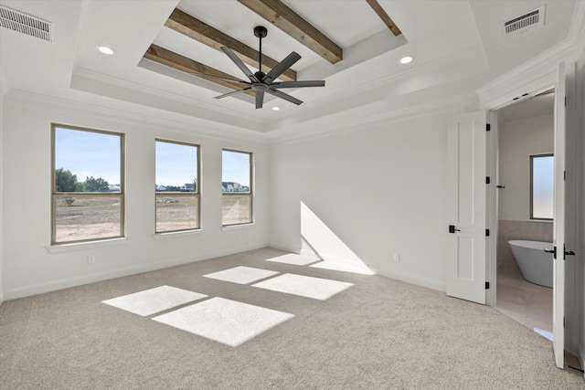 unfurnished room featuring a tray ceiling, crown molding, and plenty of natural light