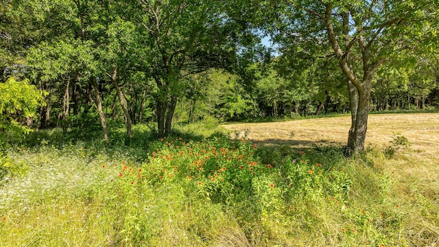 Listing photo 3 for TBD E Fm 455, Pilot Point TX 76258