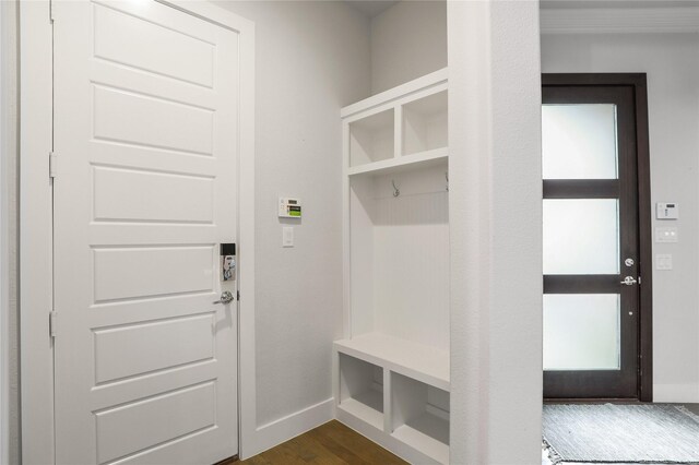 mudroom with dark wood-type flooring