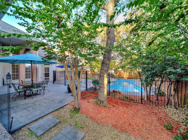 view of yard with a patio and a fenced in pool