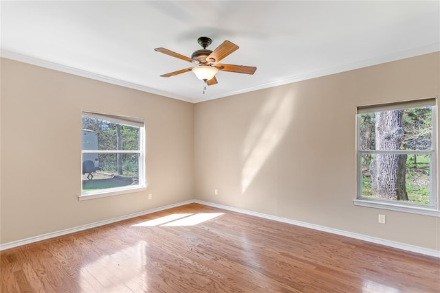 hall featuring carpet flooring and lofted ceiling