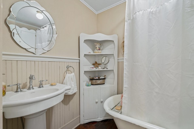 bathroom with hardwood / wood-style floors, crown molding, and sink