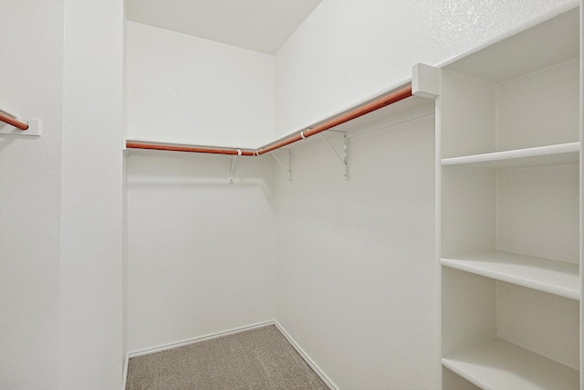 walk in closet featuring carpet flooring