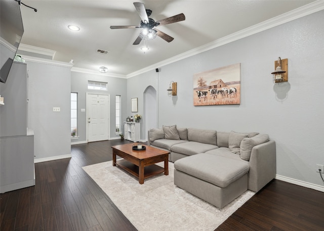 living room featuring hardwood / wood-style floors, ceiling fan, and crown molding