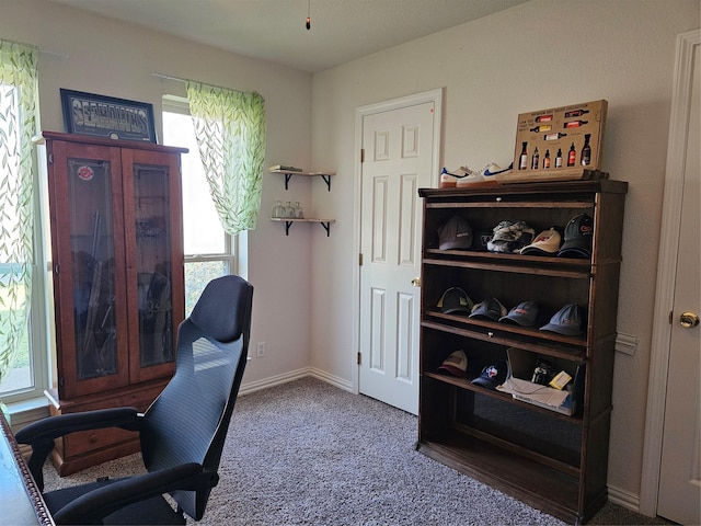 office area featuring carpet flooring