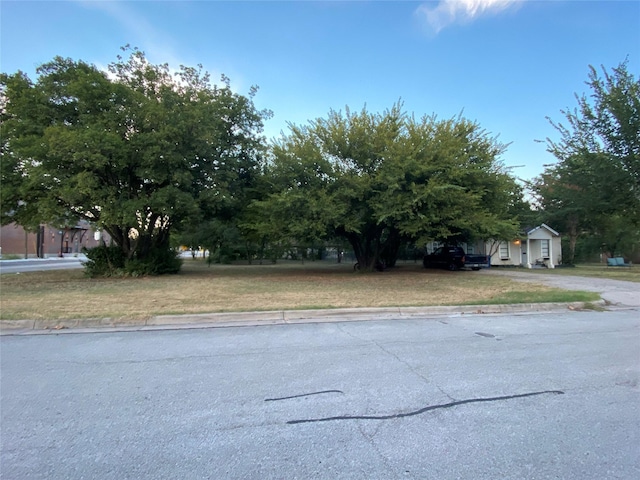 view of road with curbs