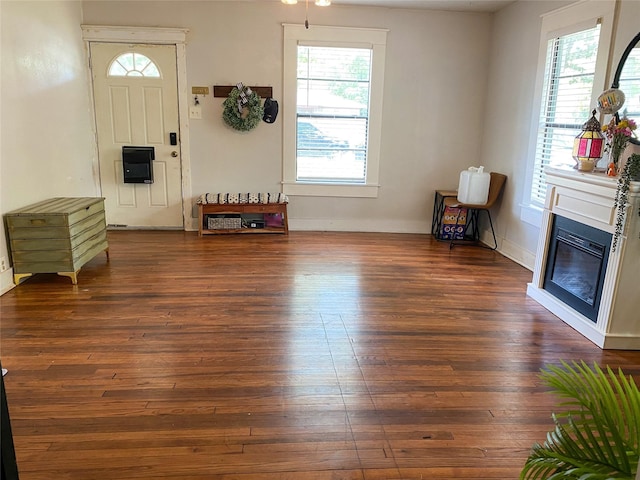 foyer entrance with a healthy amount of sunlight and dark hardwood / wood-style floors