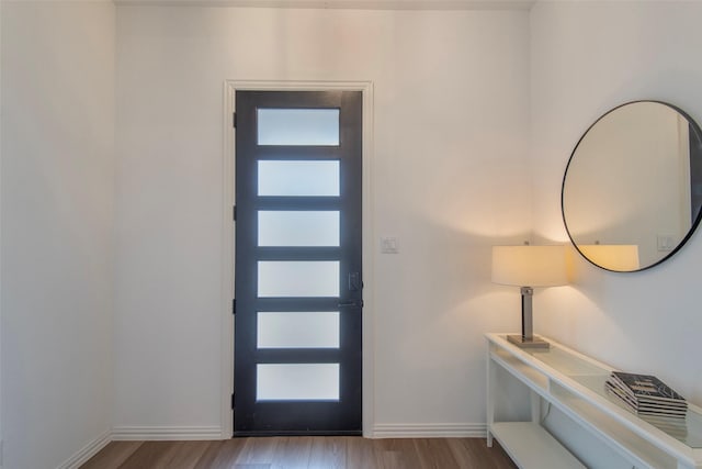 foyer entrance with hardwood / wood-style flooring