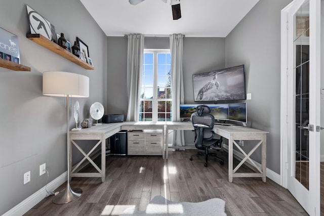 office with dark hardwood / wood-style floors and ceiling fan