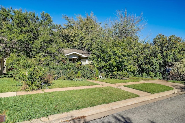 view of property hidden behind natural elements featuring a front yard