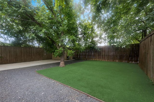 view of yard featuring a patio area