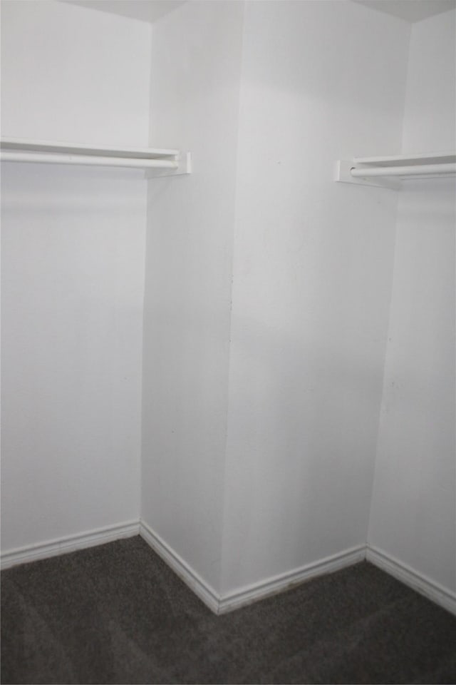 spacious closet with dark carpet