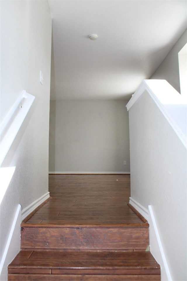 staircase featuring hardwood / wood-style floors