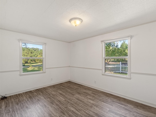 spare room featuring dark hardwood / wood-style floors and plenty of natural light