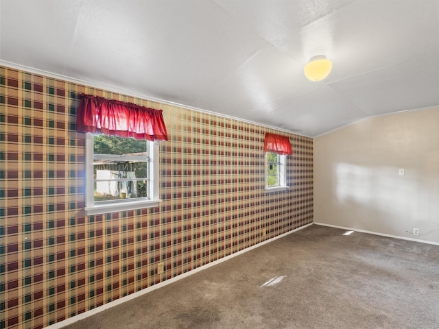 carpeted empty room featuring a healthy amount of sunlight and vaulted ceiling