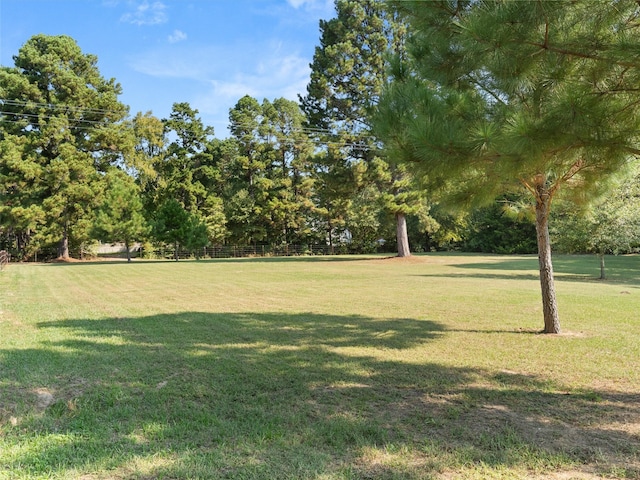 view of yard