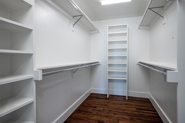 spacious closet with dark wood-type flooring