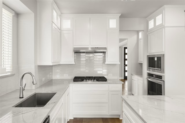 1347 Overton St, Frisco, TX 75036 - kitchen featuring a sink, under cabinet range hood, stainless steel appliances, and tasteful backsplash
